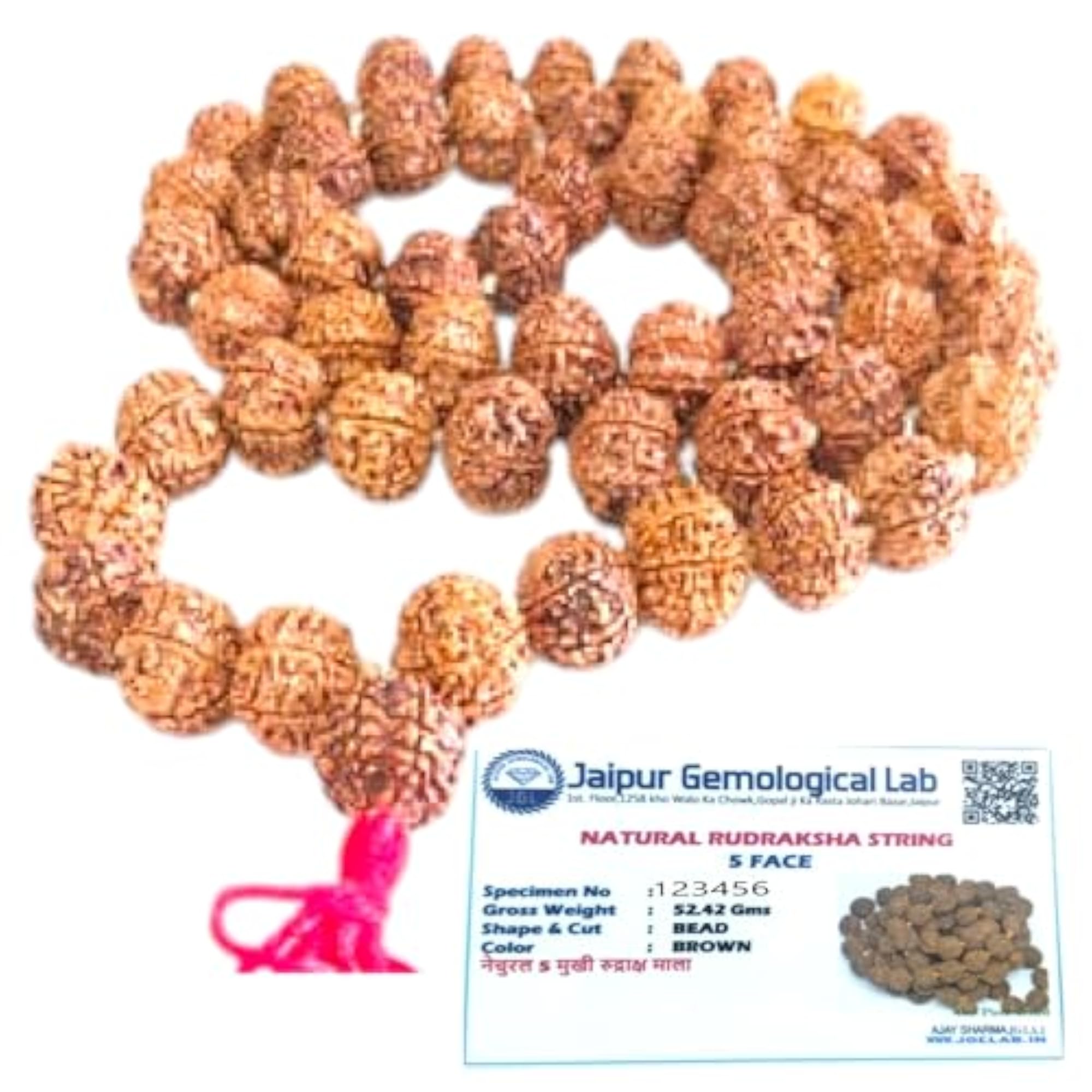 Jaipur Lab Certified 5 Mukhi Rudraksha Maala